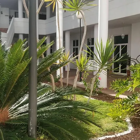 فيلة New Deluxe Sunny *