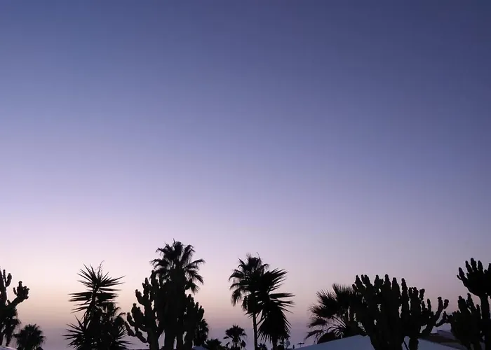 فيلة New Deluxe Sunny