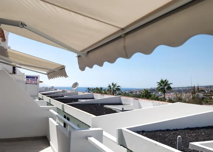 New Deluxe Sunny * أذيخي